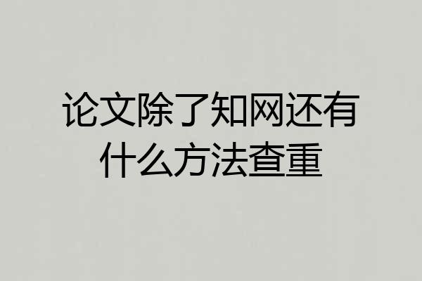 论文除了知网还有什么方法查重