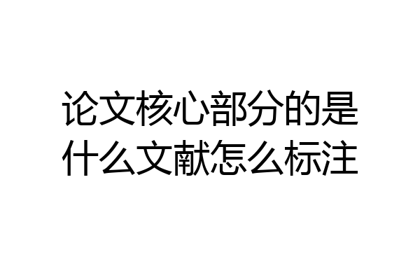 论文核心部分的是什么文献怎么标注