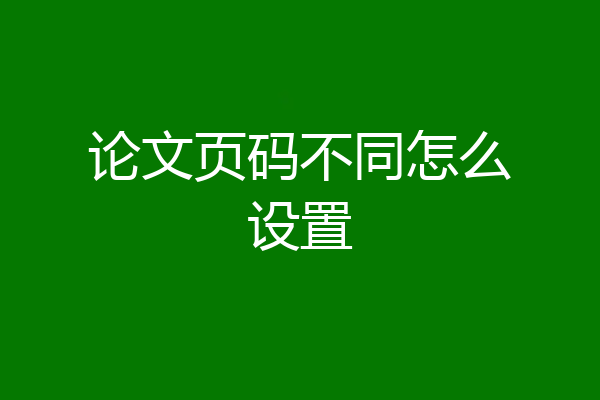 论文页码不同怎么设置