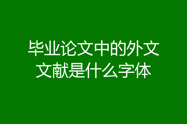 毕业论文中的外文文献是什么字体