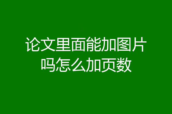 论文里面能加图片吗怎么加页数