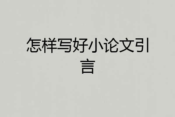 怎样写好小论文引言