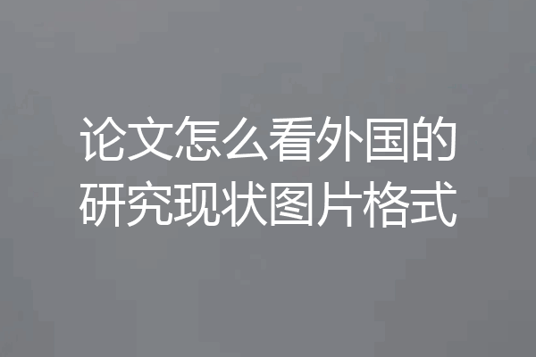 论文怎么看外国的研究现状图片格式