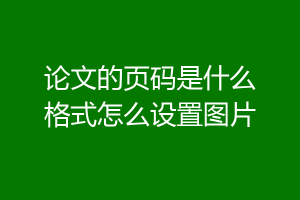 论文的页码是什么格式怎么设置图片