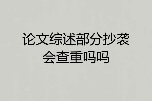 论文综述部分抄袭会查重吗吗