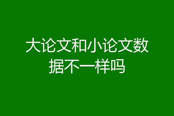 大论文和小论文数据不一样吗