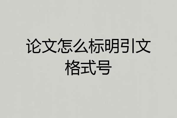 论文怎么标明引文格式号