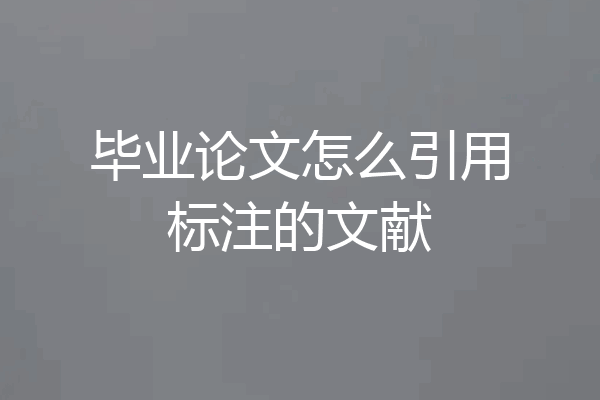 毕业论文怎么引用标注的文献