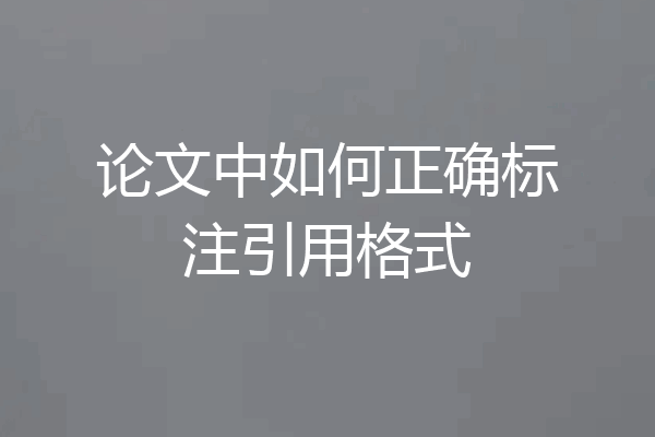 论文中如何正确标注引用格式