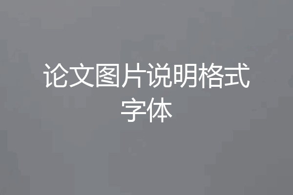 论文图片说明格式字体