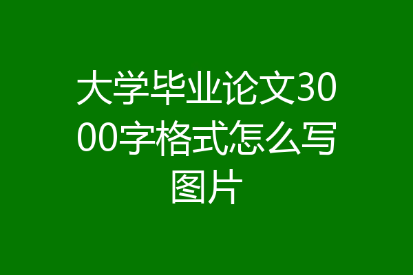 大学毕业论文3000字格式怎么写图片