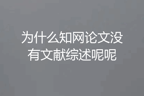 为什么知网论文没有文献综述呢呢