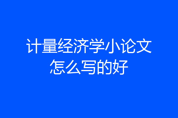 计量经济学小论文怎么写的好