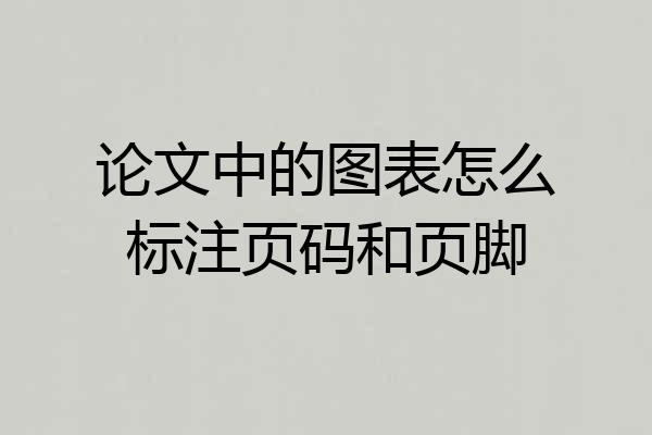 论文中的图表怎么标注页码和页脚