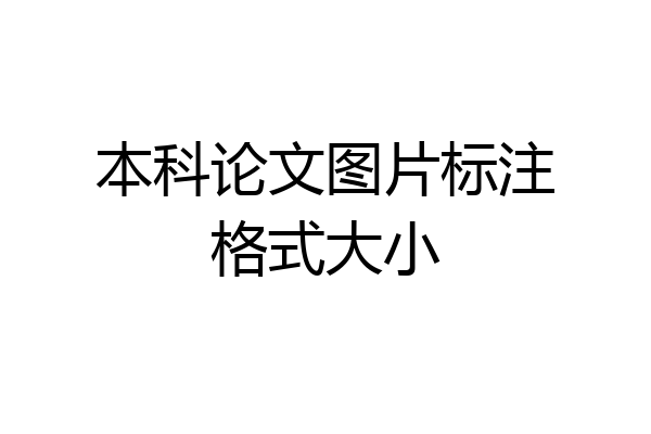 本科论文图片标注格式大小