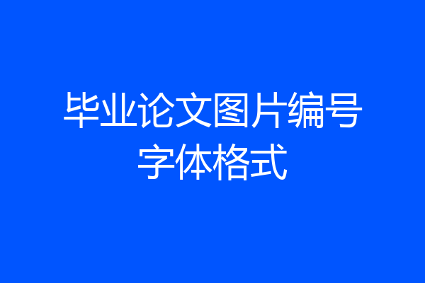 毕业论文图片编号字体格式