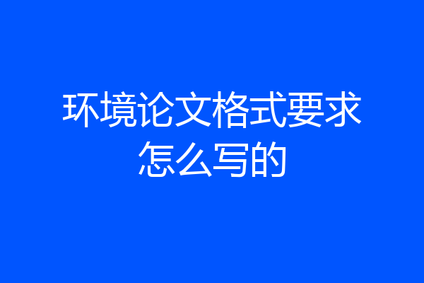 环境论文格式要求怎么写的