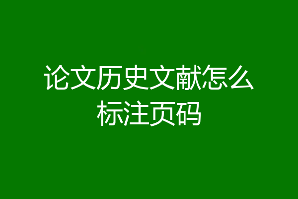 论文历史文献怎么标注页码