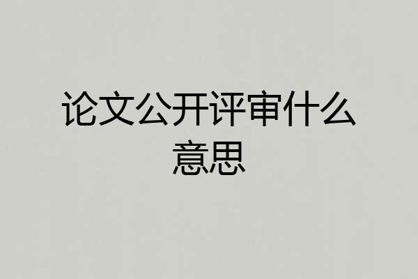 论文公开评审什么意思