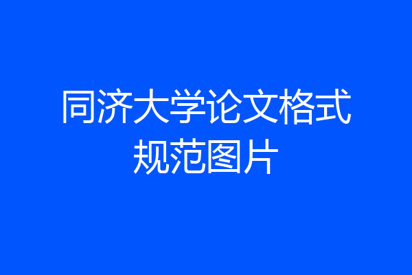同济大学论文格式规范图片