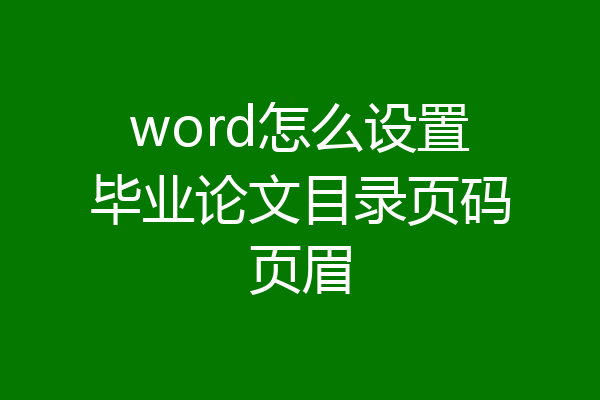 word怎么设置毕业论文目录页码页眉