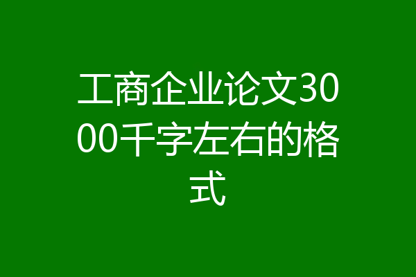 工商企业论文3000千字左右的格式