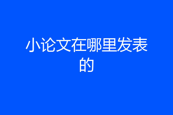 小论文在哪里发表的