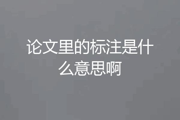 论文里的标注是什么意思啊