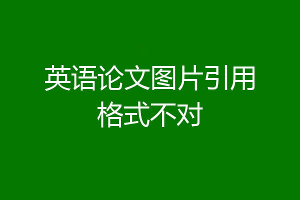 英语论文图片引用格式不对