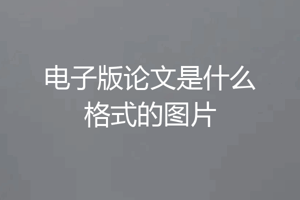 电子版论文是什么格式的图片