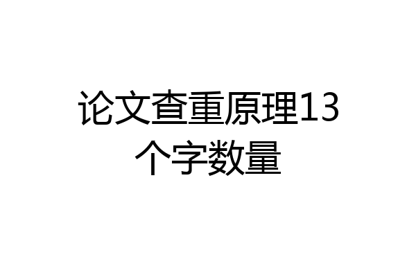 论文查重原理13个字数量