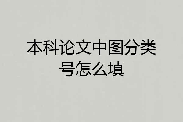 本科论文中图分类号怎么填