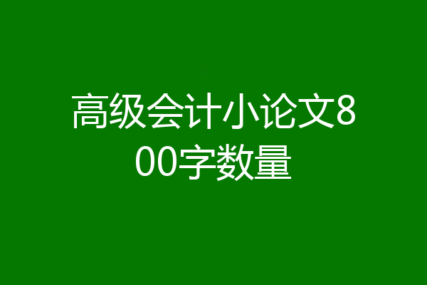 高级会计小论文800字数量