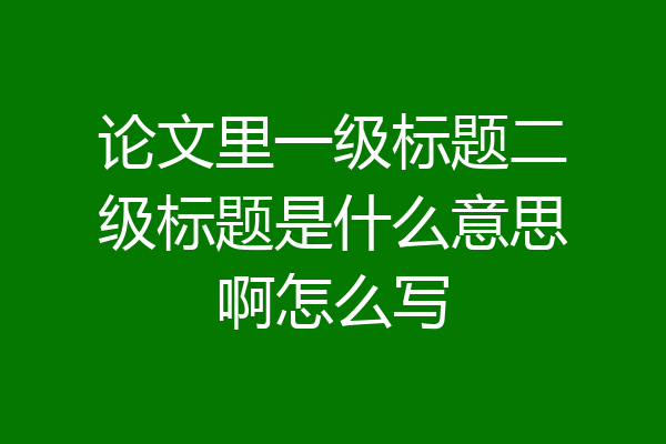 论文里一级标题二级标题是什么意思啊怎么写