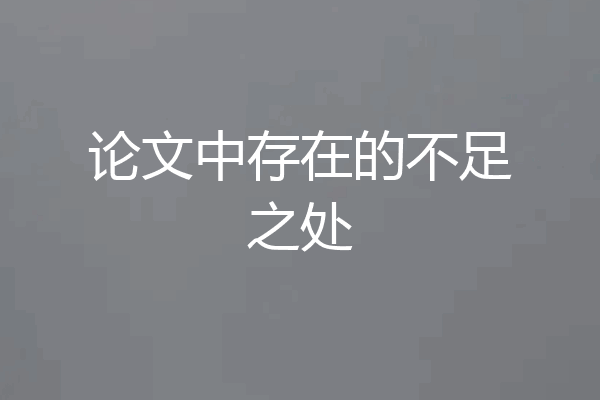 论文中存在的不足之处