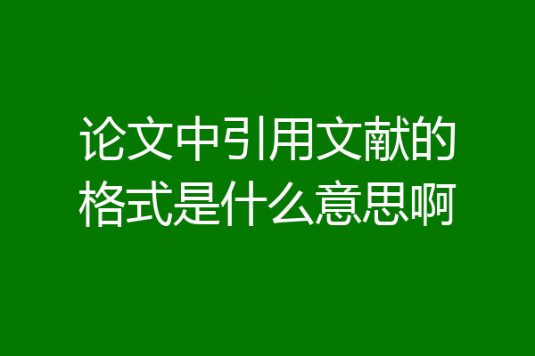 论文中引用文献的格式是什么意思啊