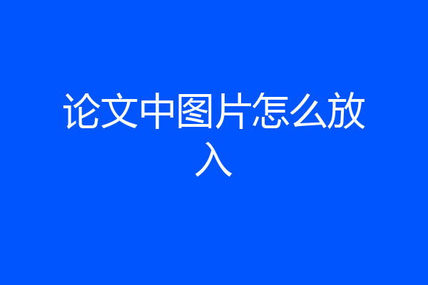 论文中图片怎么放入