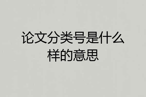 论文分类号是什么样的意思