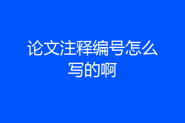 论文注释编号怎么写的啊