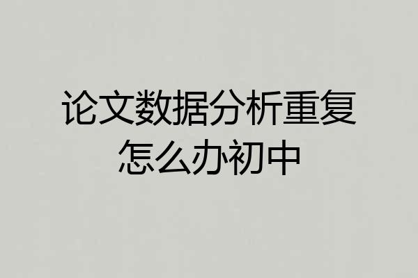 论文数据分析重复怎么办初中