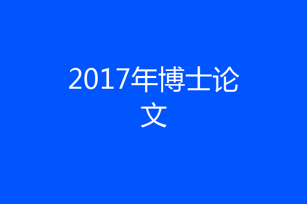 2017年博士论文