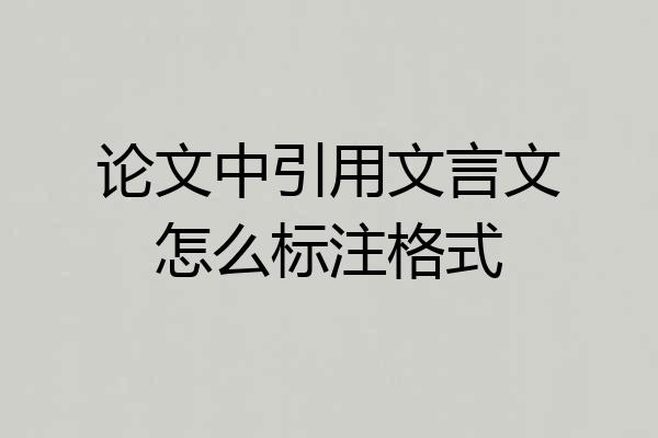 论文中引用文言文怎么标注格式