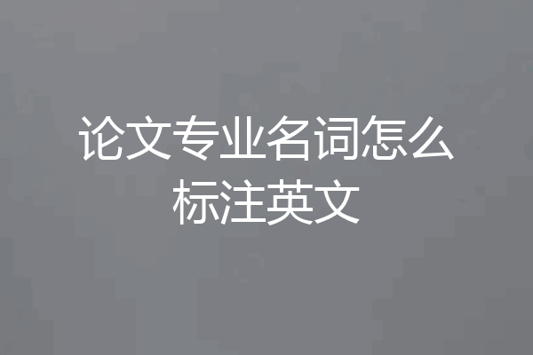 论文专业名词怎么标注英文