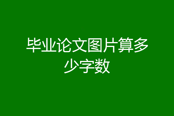 毕业论文图片算多少字数