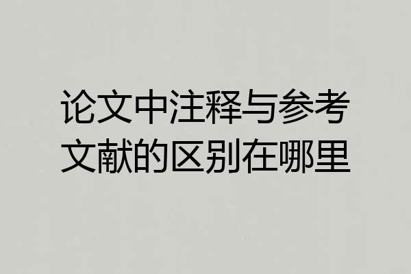 论文中注释与参考文献的区别在哪里