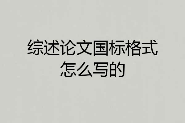 综述论文国标格式怎么写的