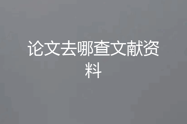 论文去哪查文献资料
