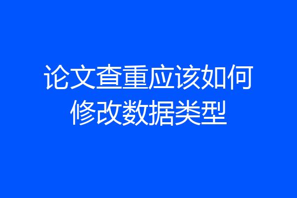 论文查重应该如何修改数据类型