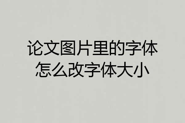 论文图片里的字体怎么改字体大小