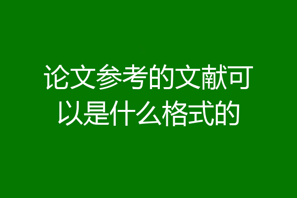 论文参考的文献可以是什么格式的